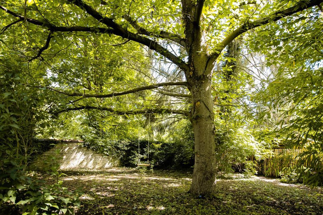 Le Gite Du Jardin Des Secrets Namur Dış mekan fotoğraf